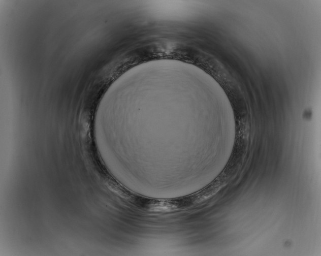 X0000099480754200805301618