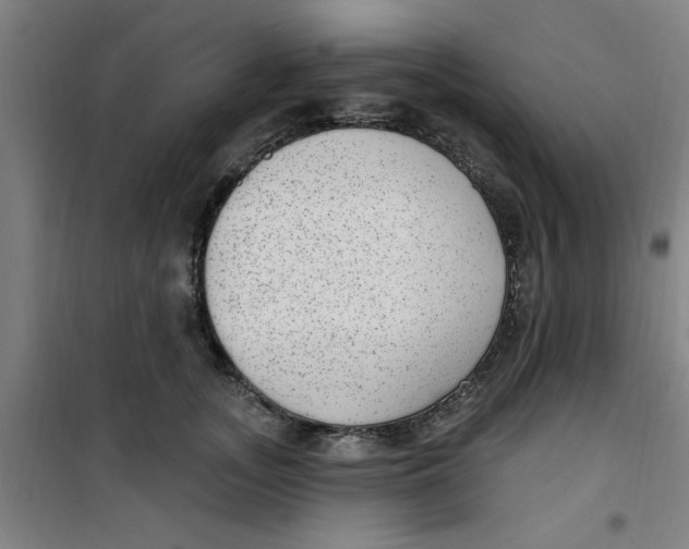 X0000099480755200805301618