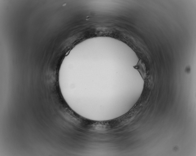 X0000099480756200805301618