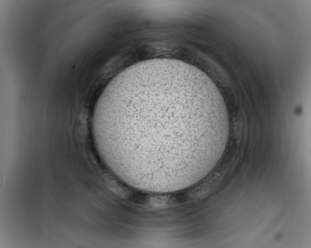 X0000099480757200805301618