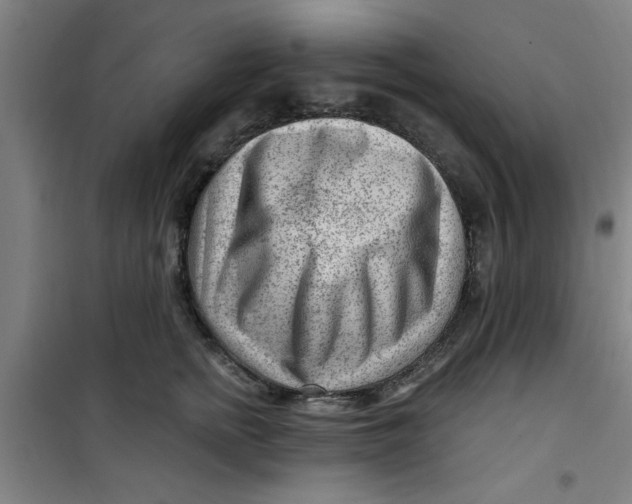 X0000099480758200805301618