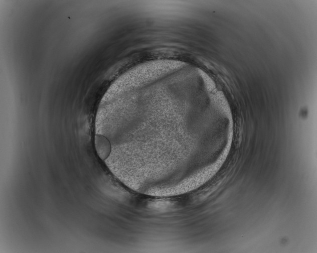 X0000099480759200805301619