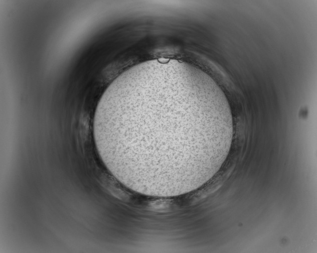 X0000099480761200805301619