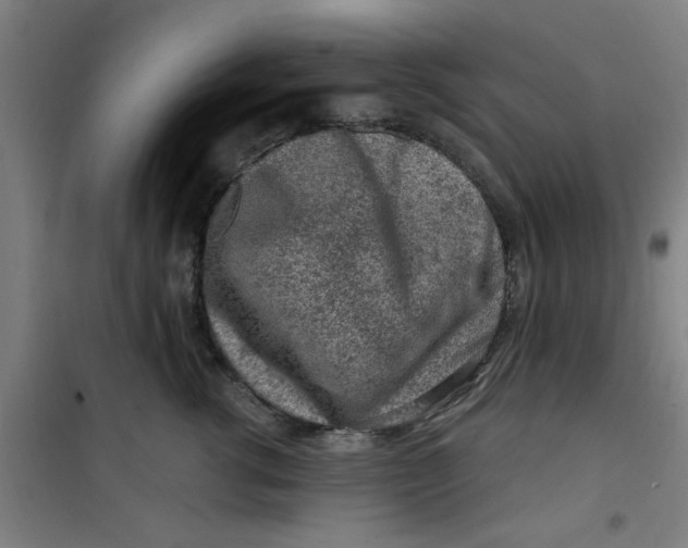 X0000099480762200805301619