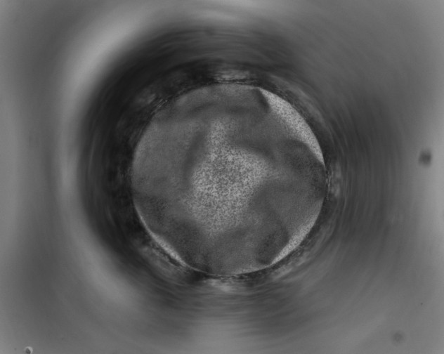 X0000099480763200805301619