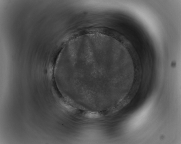 X0000099480767200805301619