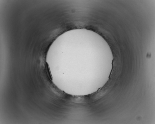 X0000099480768200805301619