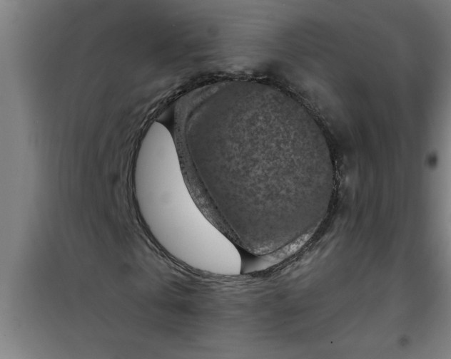 X0000099480769200805301618