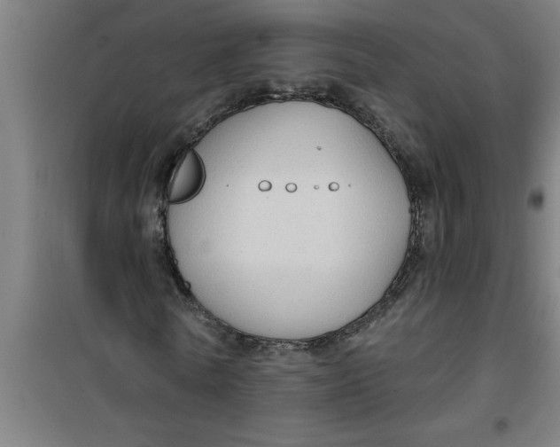 X0000099480770200805301618