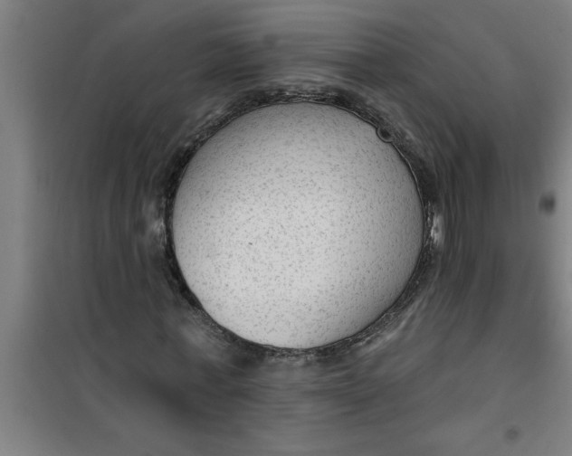 X0000099480771200805301618