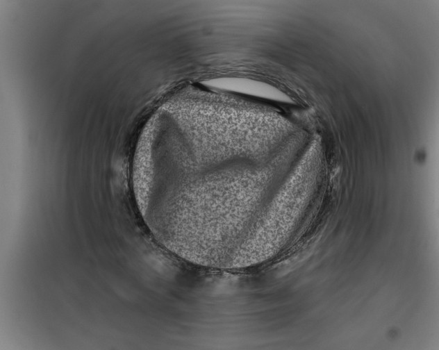 X0000099480772200805301618