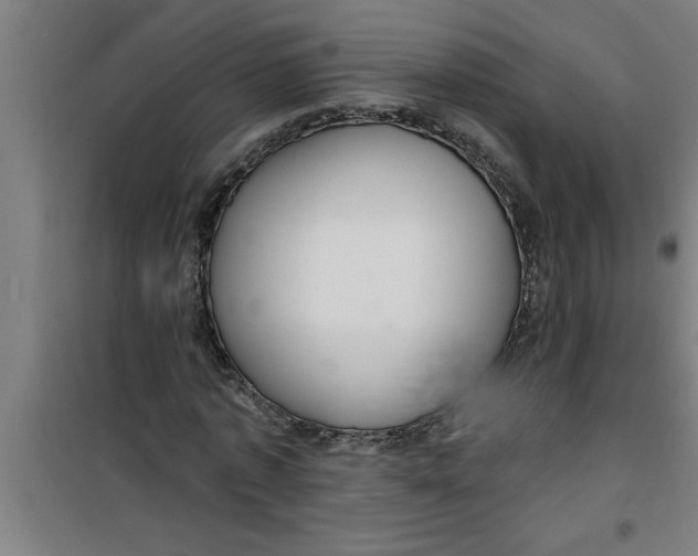 X0000099480773200805301618
