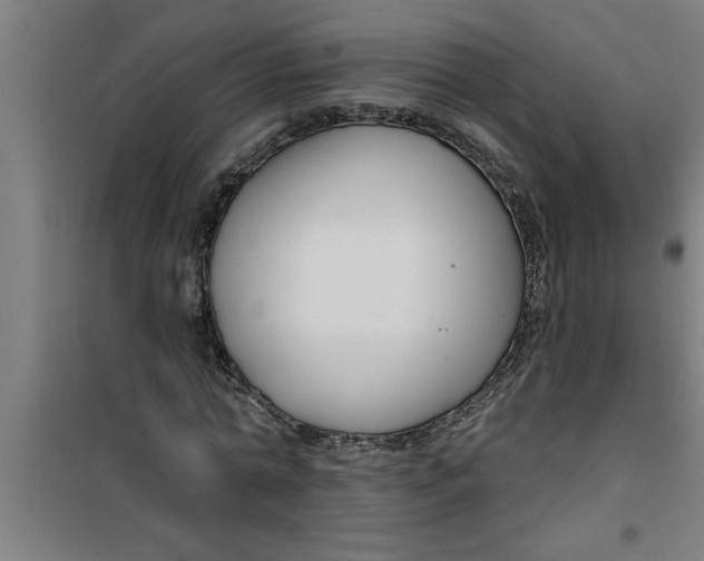 X0000099480774200805301618