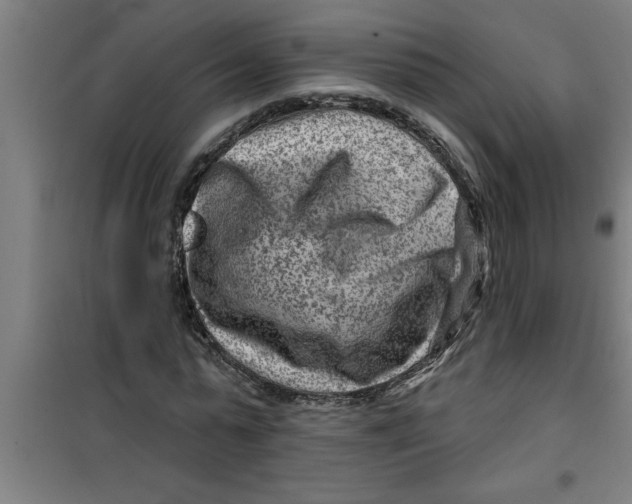 X0000099480775200805301618