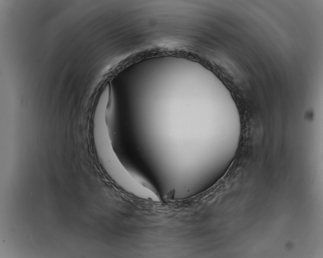 X0000099480776200805301618