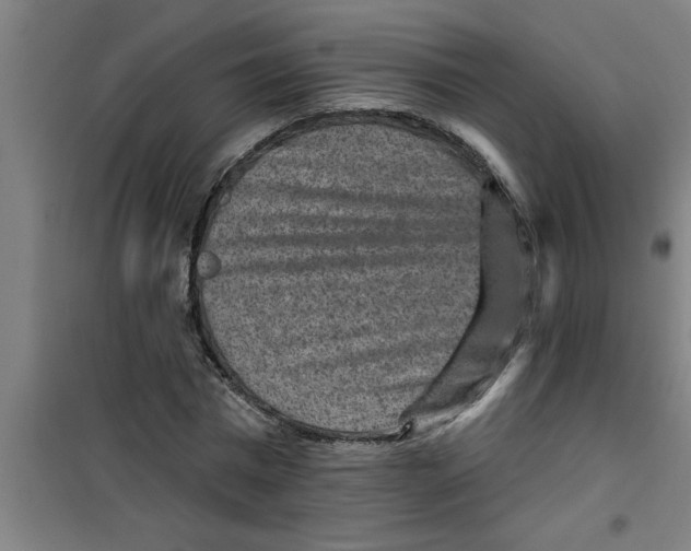 X0000099480777200805301618