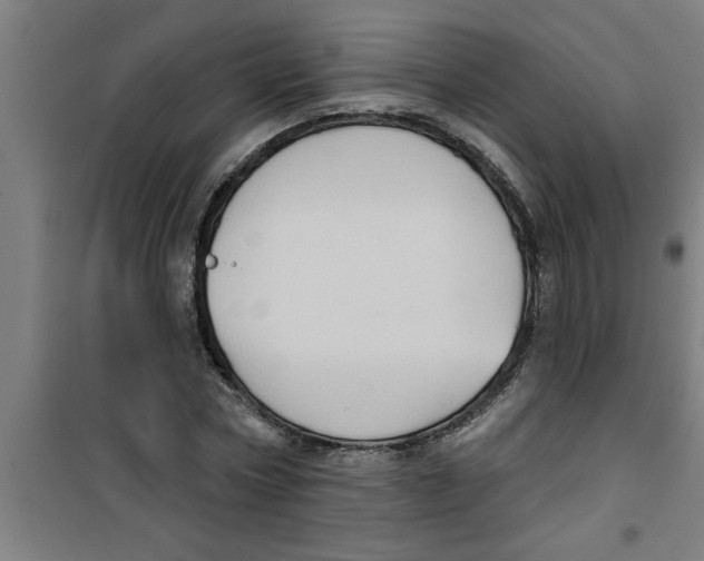X0000099480778200805301618