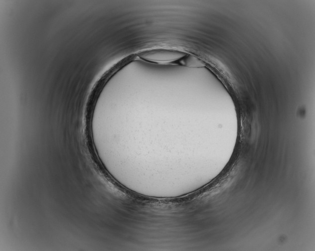X0000099480780200805301618