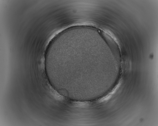 X0000099480781200805301618