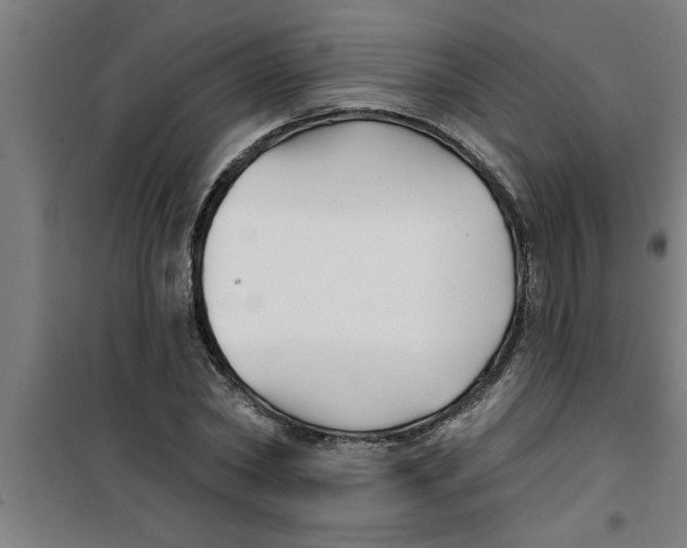 X0000099480782200805301618