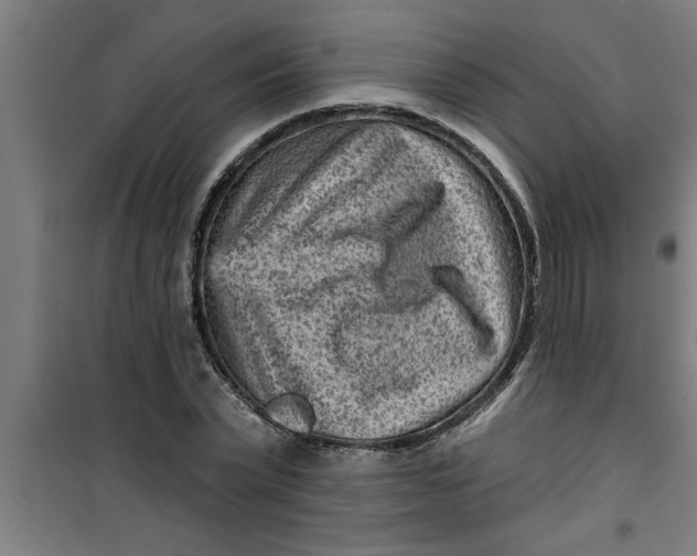 X0000099480783200805301618