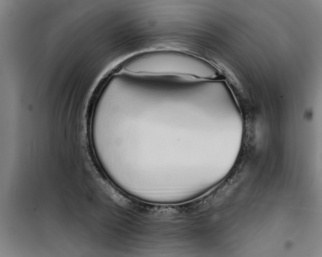 X0000099480784200805301618