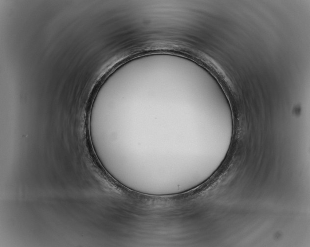 X0000099480786200805301618