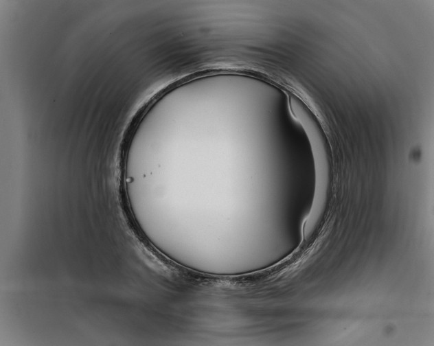 X0000099480787200805301618