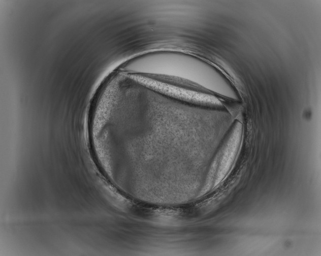 X0000099480788200805301618