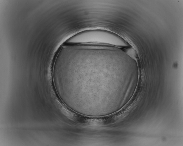 X0000099480789200805301618