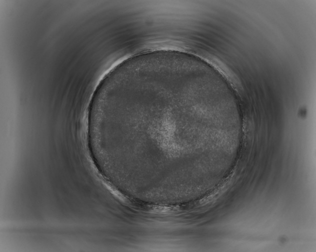 X0000099480790200805301618