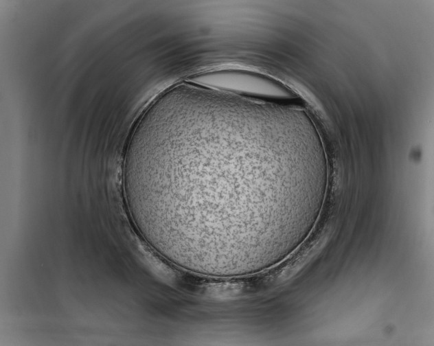 X0000099480793200805301618