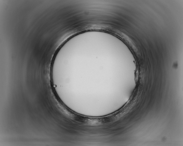 X0000099480794200805301618
