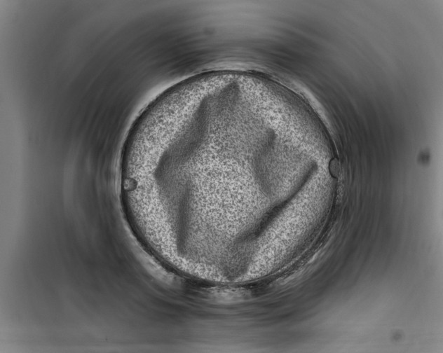X0000099480795200805301618