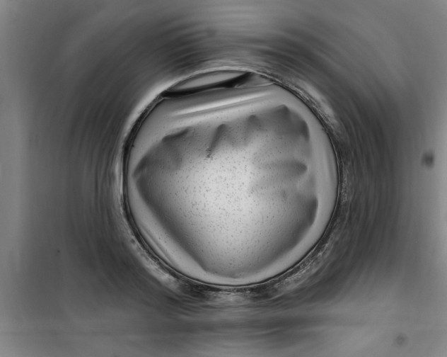 X0000099480796200805301618