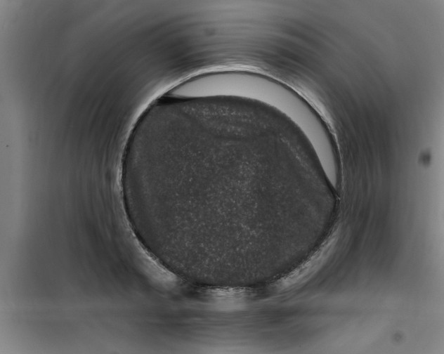 X0000099480797200805301618