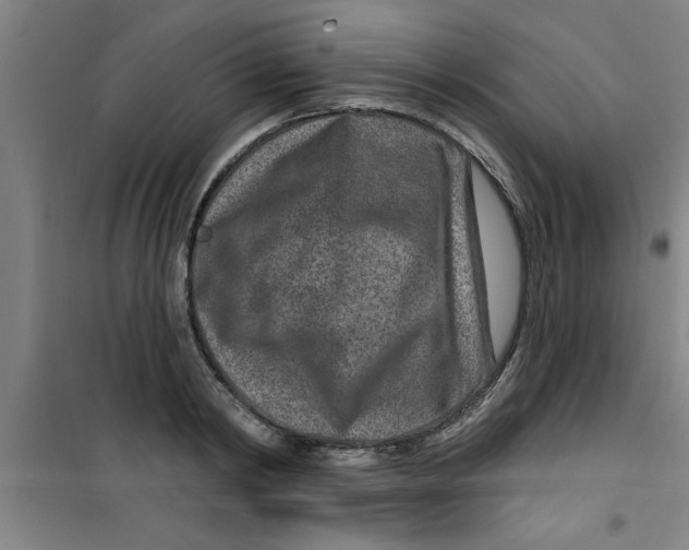 X0000099480798200805301618