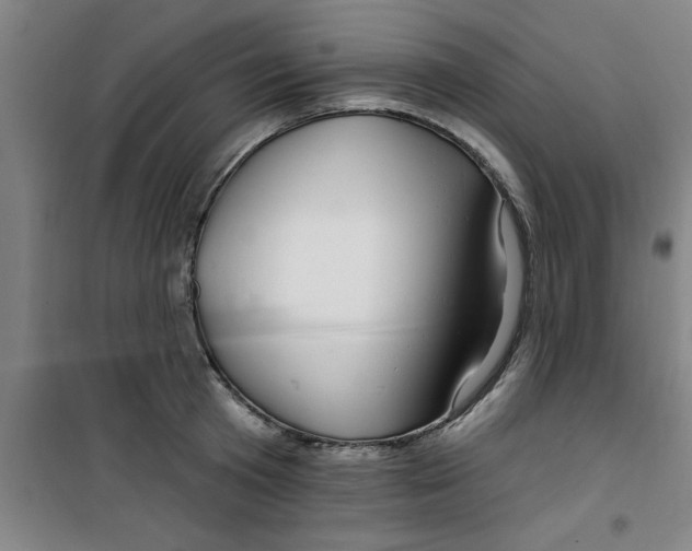 X0000099480801200805301618