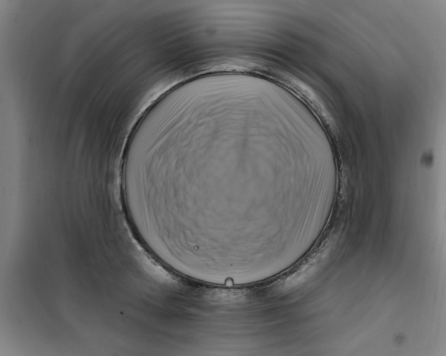 X0000099480802200805301618