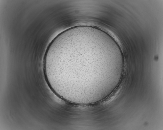 X0000099480803200805301618