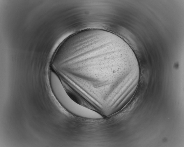 X0000099480804200805301618