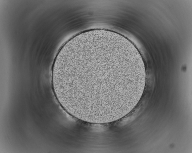 X0000099480807200805301618