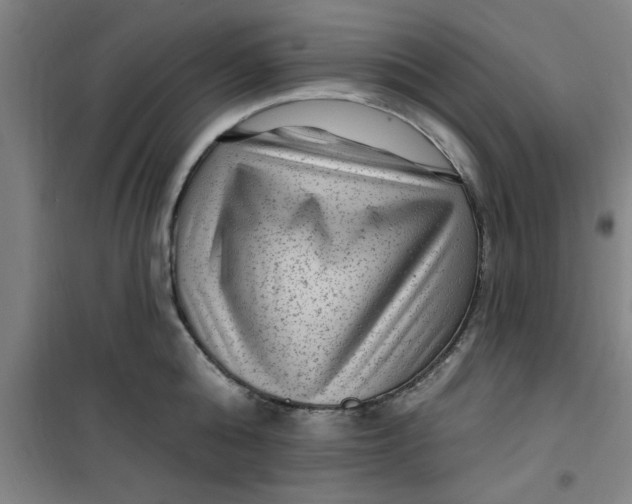 X0000099480808200805301618