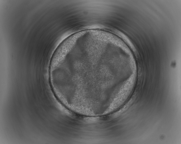 X0000099480810200805301617