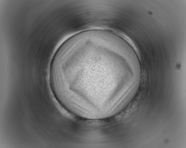 X0000099480811200805301617