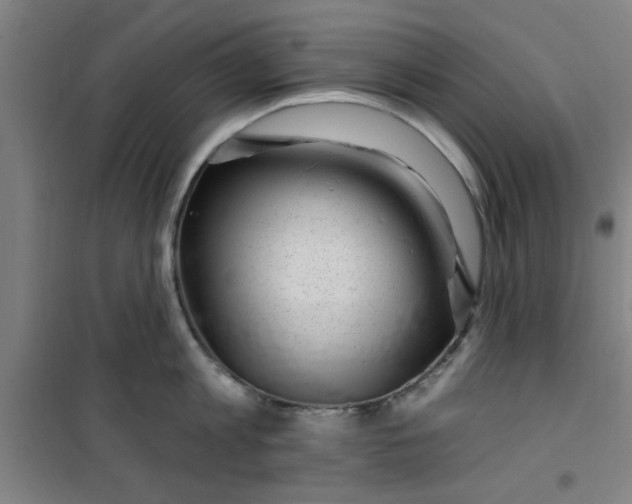 X0000099480813200805301617