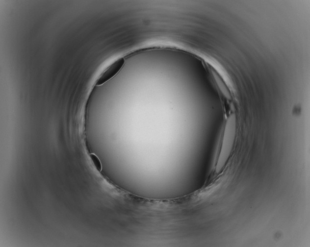 X0000099480815200805301617