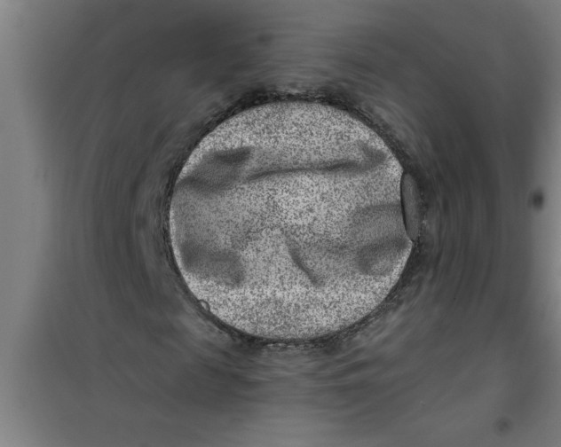 X0000099480817200805301617