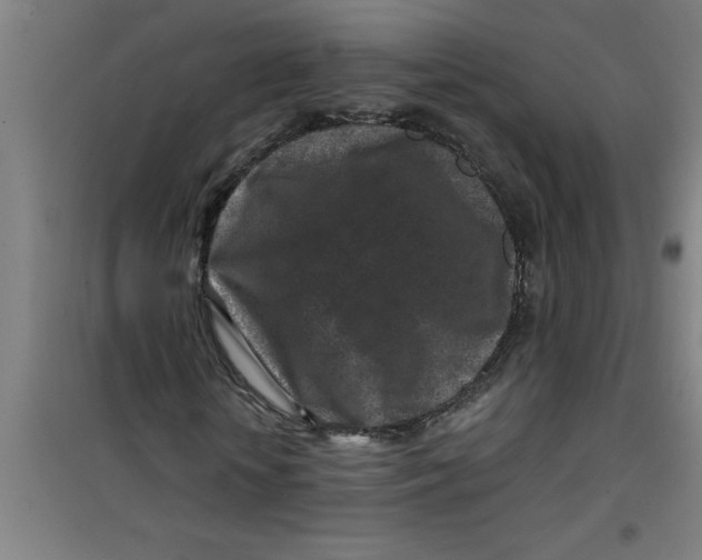 X0000099480818200805301617