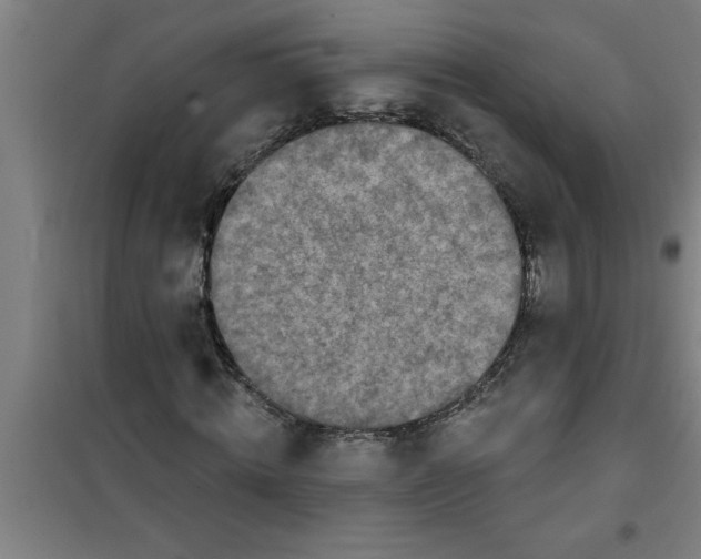 X0000099480820200805301617